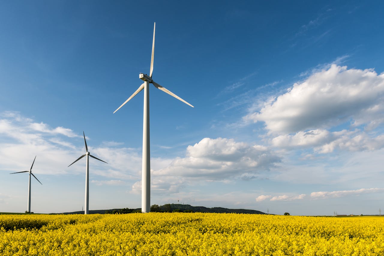 Windmill